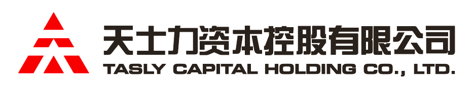 BG视讯资本控股有限公司